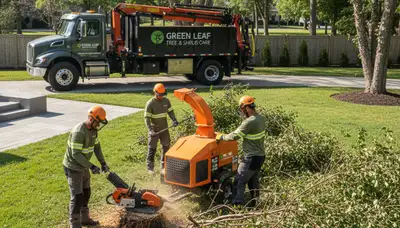Professional shrub removal service in Spokane, WA clearing overgrown bushes and yard debris