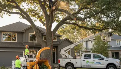 Arborist trimming tree branches in Spokane, WA for expert crown shaping and healthy tree growth