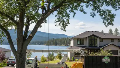 Professional tree removal service in Spokane WA safely cutting and clearing large damaged trees